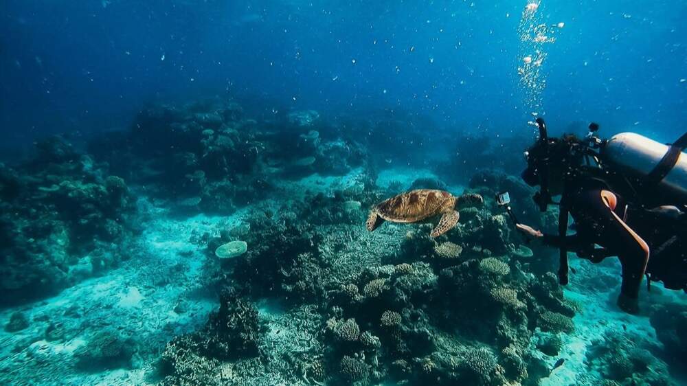 Mergulho em Angra dos Reis